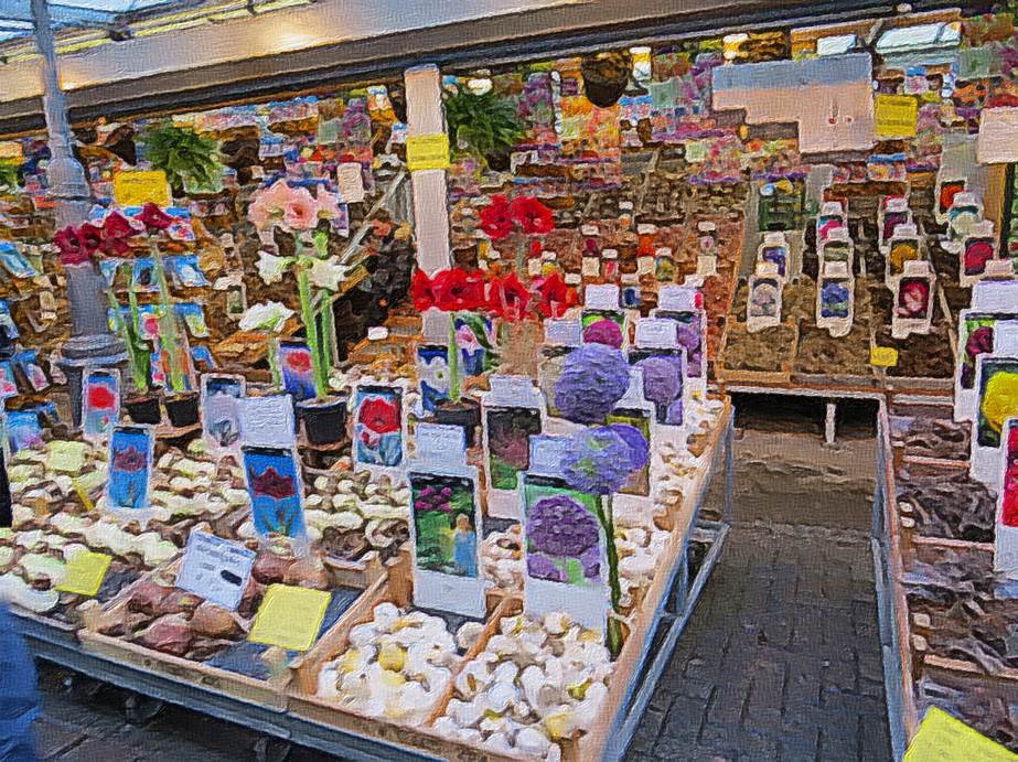 Ein Bild, das Text, Marktplatz, Geschft, Naturprodukte enthlt.

Automatisch generierte Beschreibung