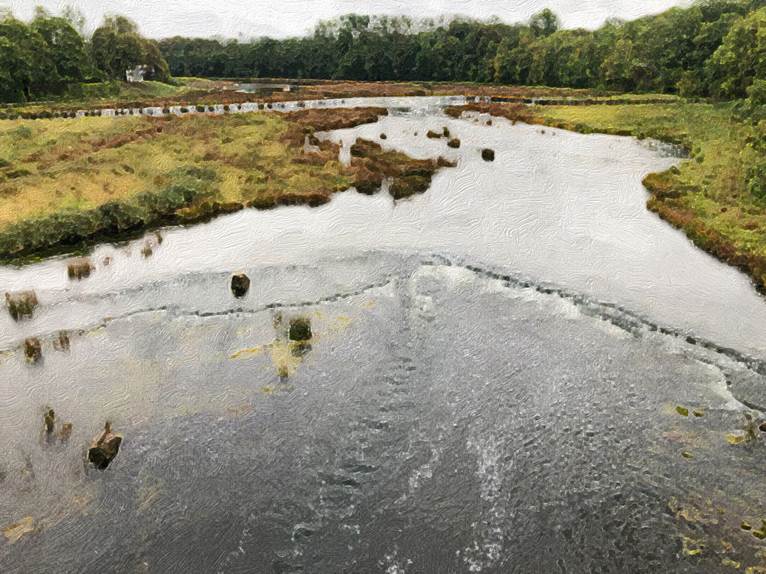 Ein Bild, das Gras, drauen, Natur, umgeben enthlt.

Automatisch generierte Beschreibung