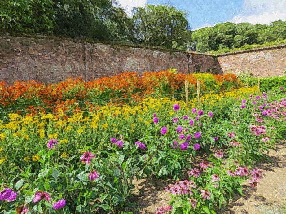 Ein Bild, das Blume, drauen, Gras, Pflanze enthlt.

Automatisch generierte Beschreibung