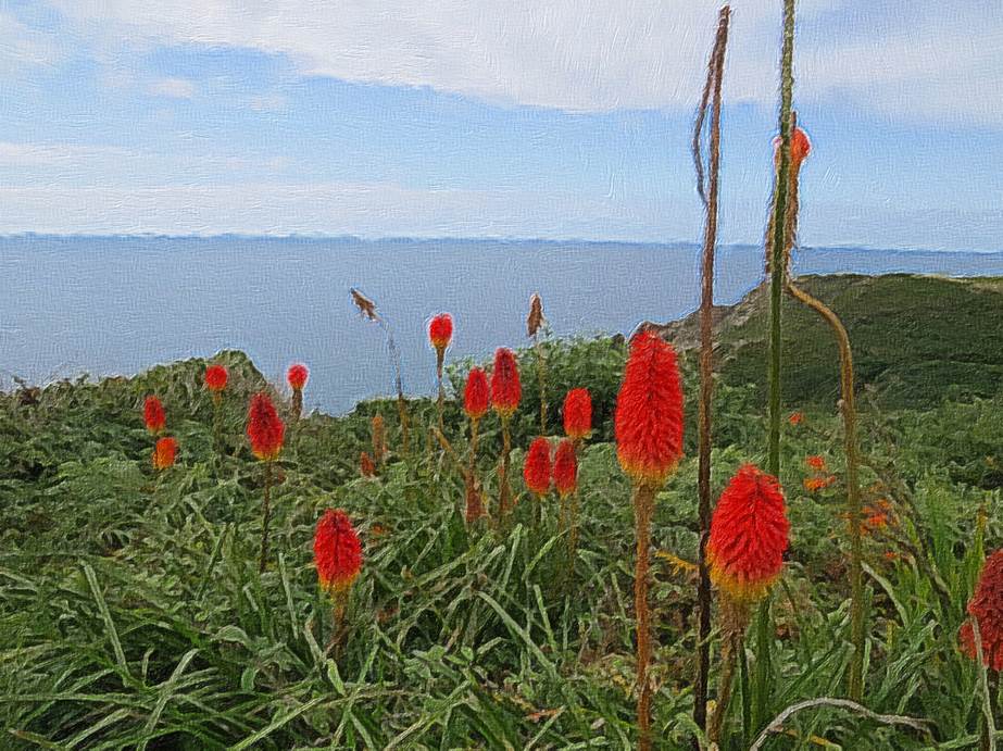 Ein Bild, das Text, Gras, drauen, Wasser enthlt.

Automatisch generierte Beschreibung