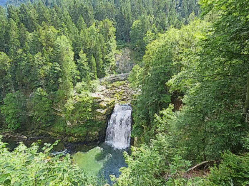 Ein Bild, das Baum, drauen, Wald, Natur enthlt.

Automatisch generierte Beschreibung