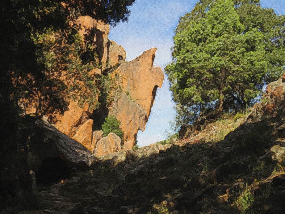 Ein Bild, das Baum, Natur, Hanglage enthlt.

Automatisch generierte Beschreibung