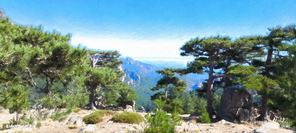 Ein Bild, das drau�en, Himmel, Wildnis, Landschaft enth�lt.

KI-generierte Inhalte k�nnen fehlerhaft sein.