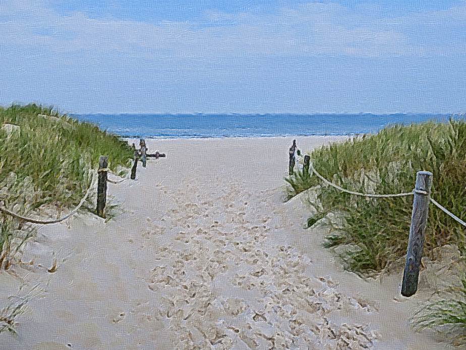 Ein Bild, das Boden, Wasser, drauen, Natur enthlt.

Automatisch generierte Beschreibung