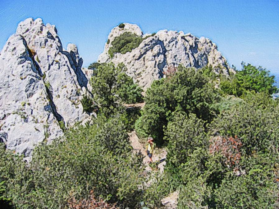 Ein Bild, das Baum, drauen, Rock, Berg enthlt.

Automatisch generierte Beschreibung