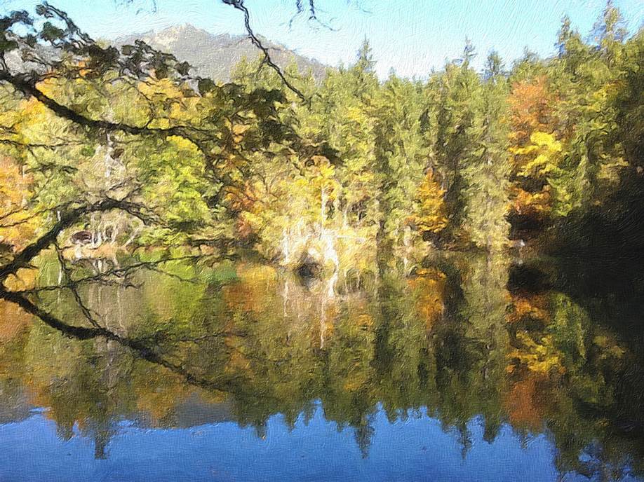 Ein Bild, das Natur, Wasser, Teich, Baum enthlt.

Automatisch generierte Beschreibung